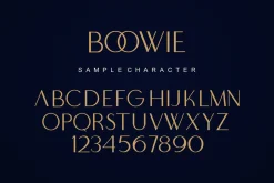Boowie || Modern minimalist elegant.