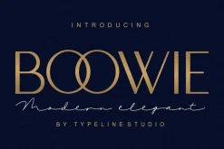 Boowie || Modern minimalist elegant.