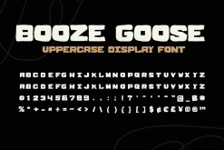 BOOZE GOOSE MESSY DISPLAY FONT