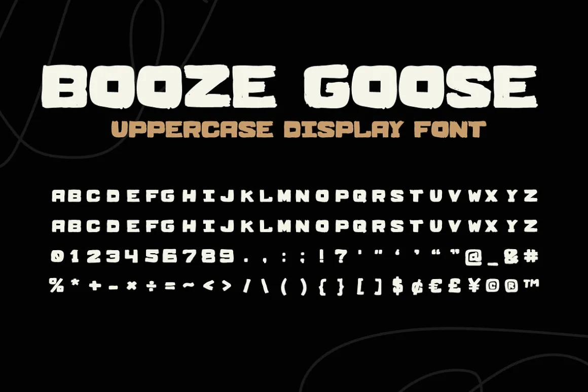 BOOZE GOOSE MESSY DISPLAY FONT