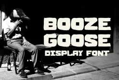 BOOZE GOOSE MESSY DISPLAY FONT