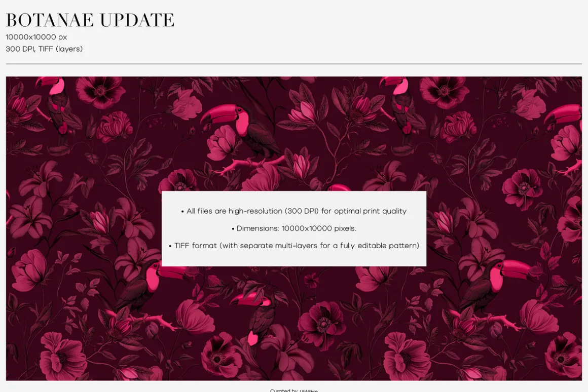 Botanae Botanical Prints And Motifs