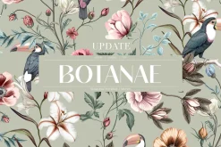 Botanae Botanical Prints And Motifs