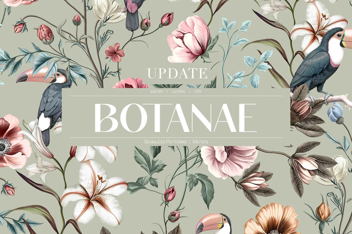 Botanae Botanical Prints And Motifs