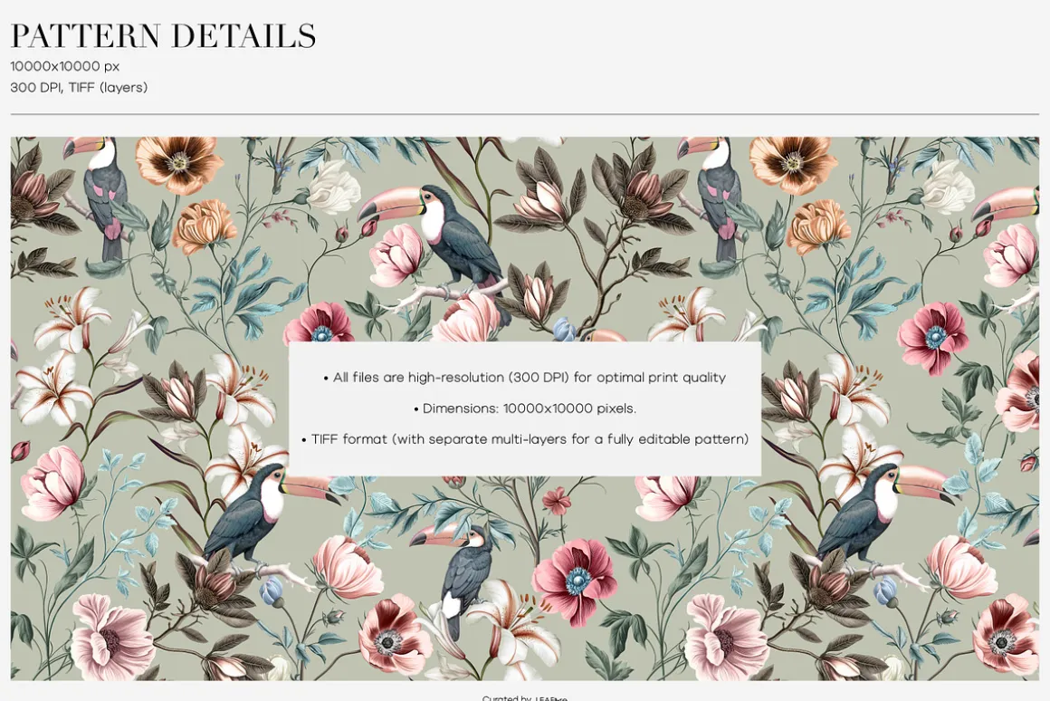 Botanae Botanical Prints And Motifs