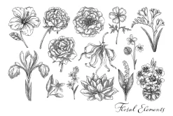Botanical Beauty & Spa Branding Kit