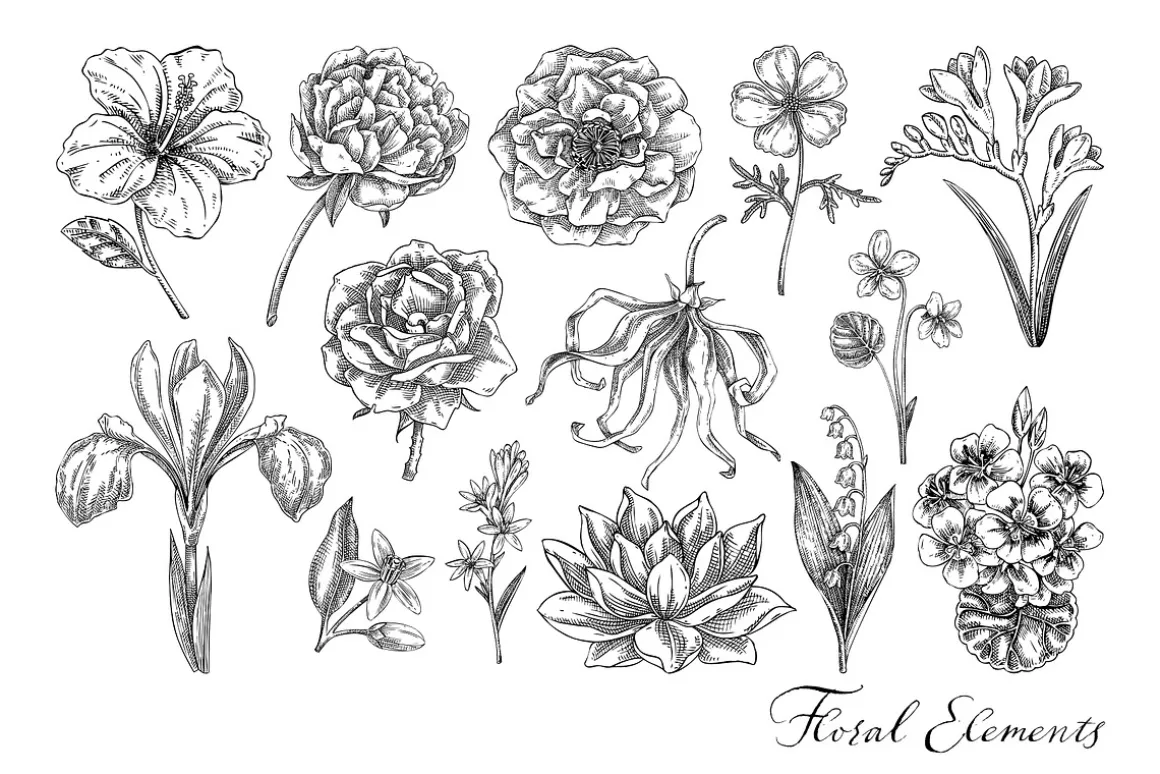 Botanical Beauty & Spa Branding Kit