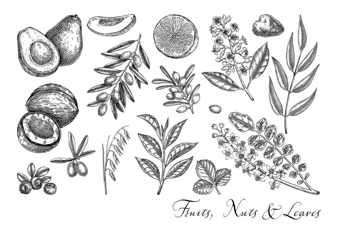 Botanical Beauty & Spa Branding Kit