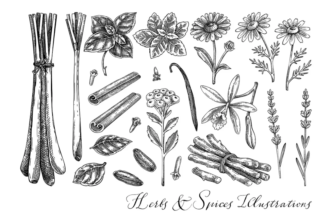 Botanical Beauty & Spa Branding Kit