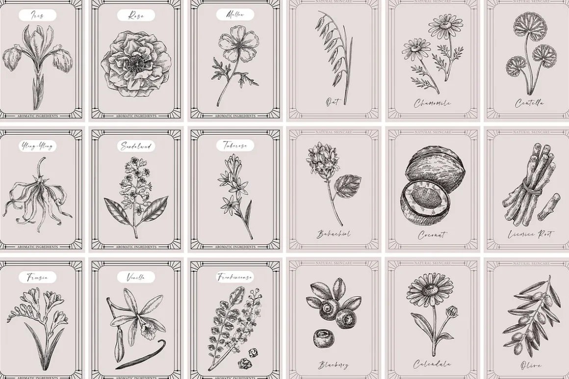 Botanical Beauty & Spa Branding Kit