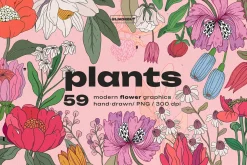 Botanical Modern Floral Illustration