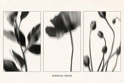 Botanical Traces: Blurred Floral PNG