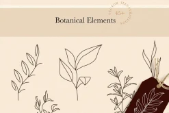 Botanical Elements for Logo Design