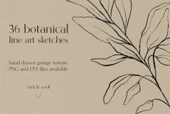 Botanical line art sketches