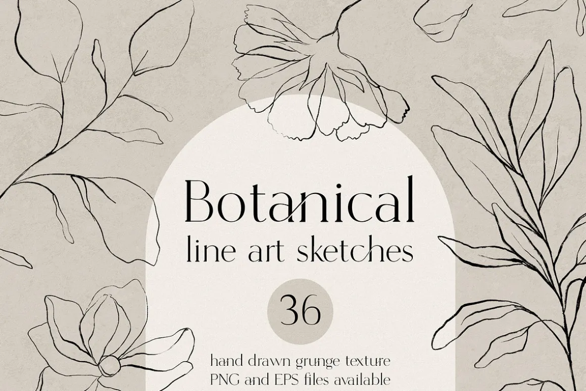 Botanical line art sketches