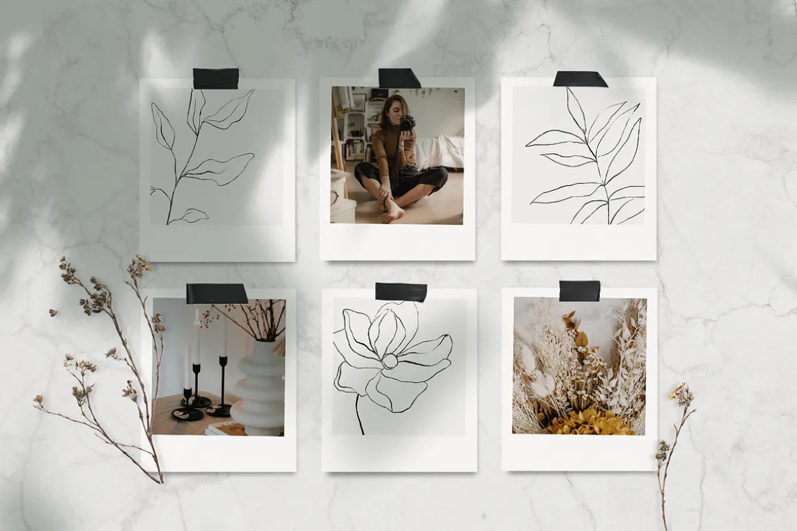 Botanical line art sketches