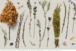 Botanical Moodboard Scene Creator