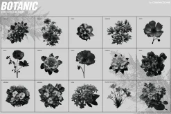 70 Botanic Dither Vector & PNG