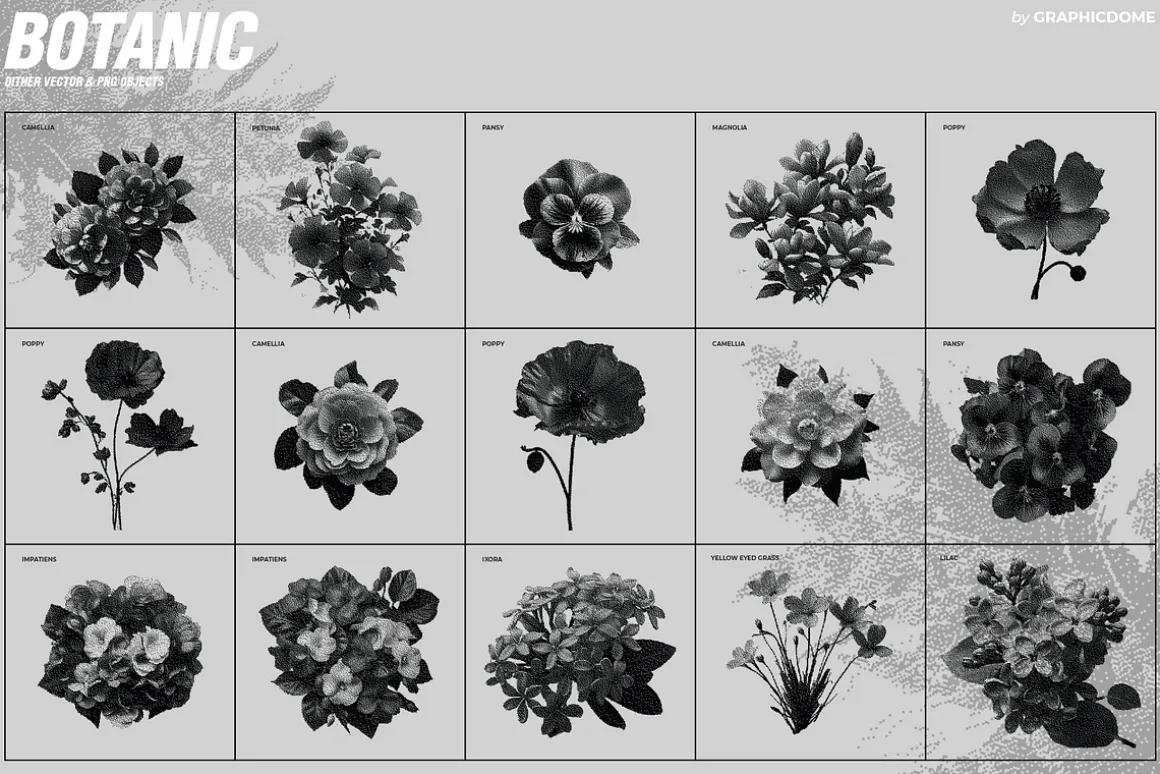 70 Botanic Dither Vector & PNG