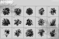 70 Botanic Dither Vector & PNG