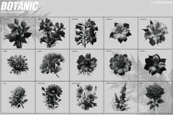 70 Botanic Dither Vector & PNG