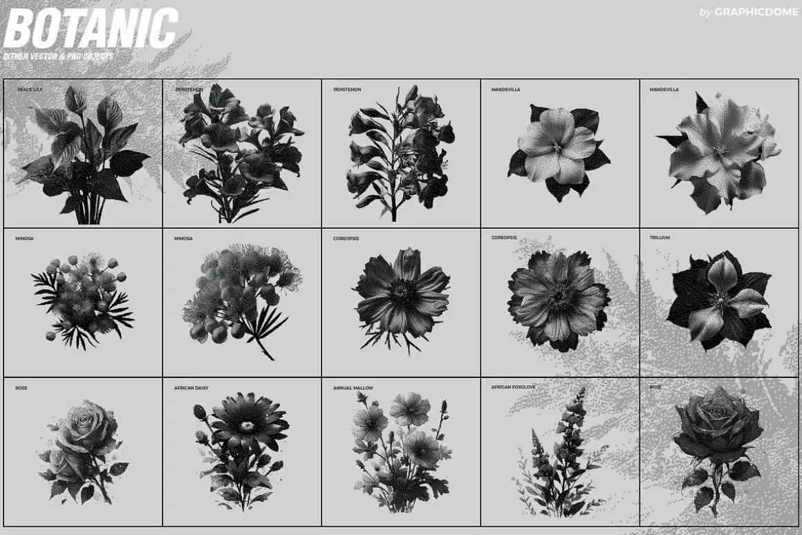 70 Botanic Dither Vector & PNG