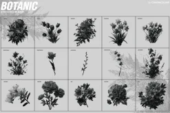 70 Botanic Dither Vector & PNG