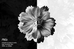 70 Botanic Dither Vector & PNG