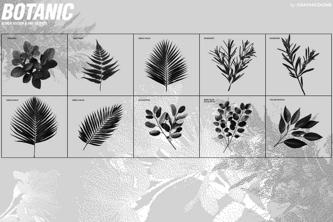 70 Botanic Dither Vector & PNG