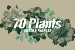 70 Botanic Dither Vector & PNG