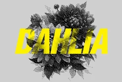 70 Botanic Dither Vector & PNG