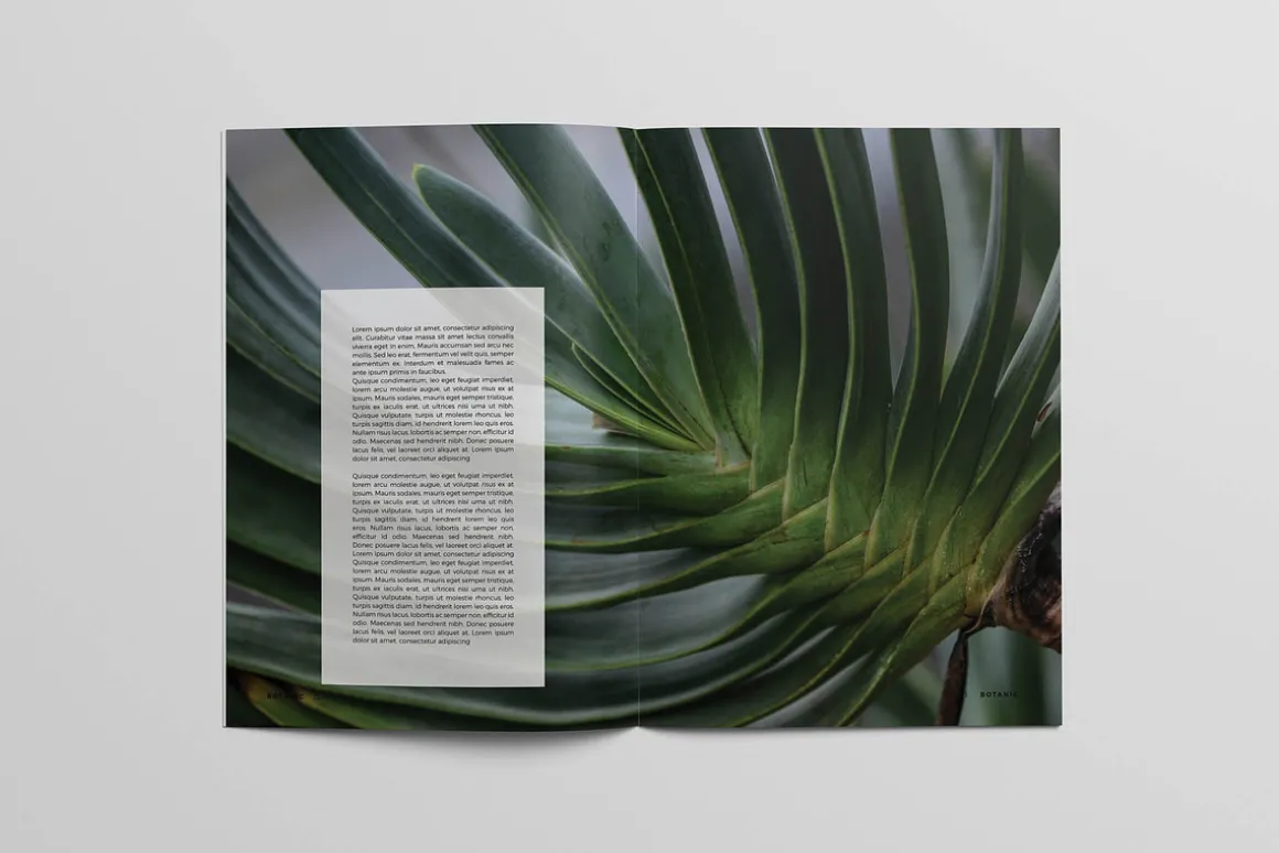 Botanic Magazine