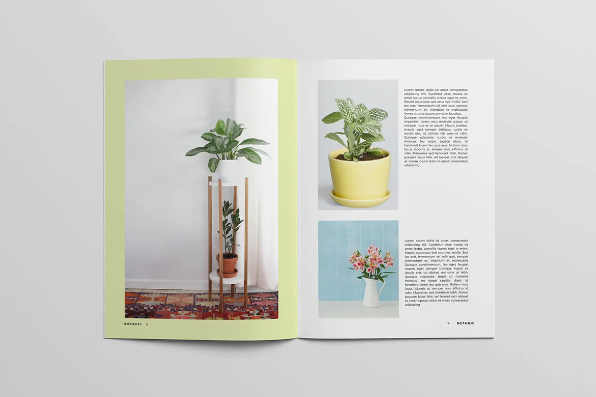 Botanic Magazine