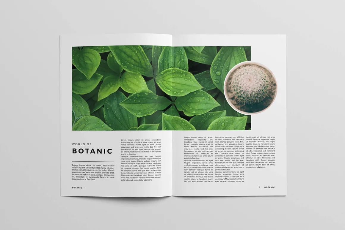 Botanic Magazine