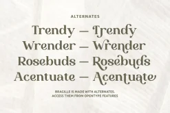 Bragille - Stylish Bold Serif