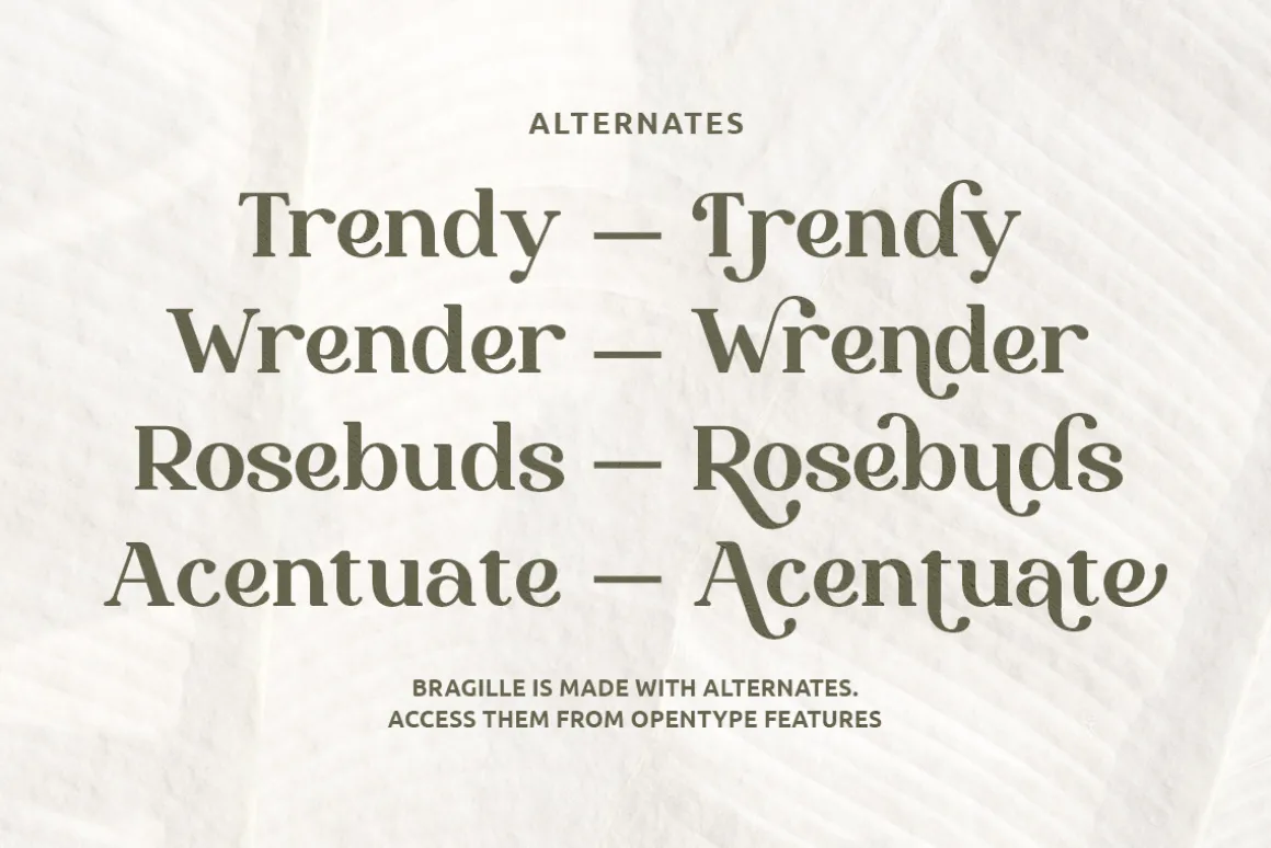 Bragille - Stylish Bold Serif