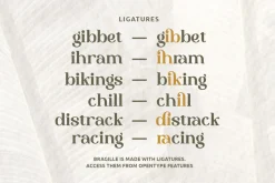 Bragille - Stylish Bold Serif