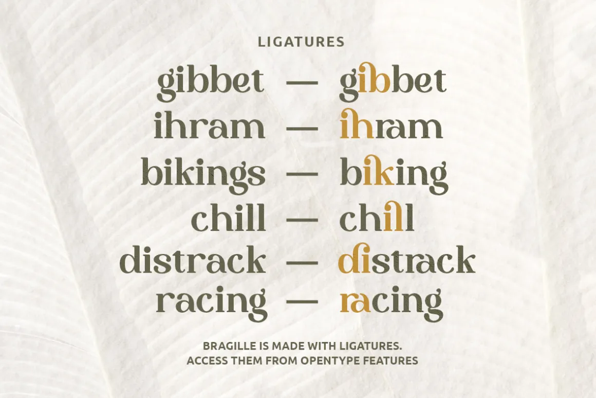 Bragille - Stylish Bold Serif