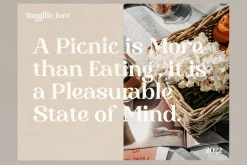 Bragille - Stylish Bold Serif