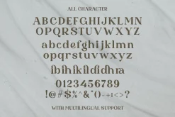 Bragille - Stylish Bold Serif