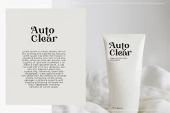 Bragille - Stylish Bold Serif