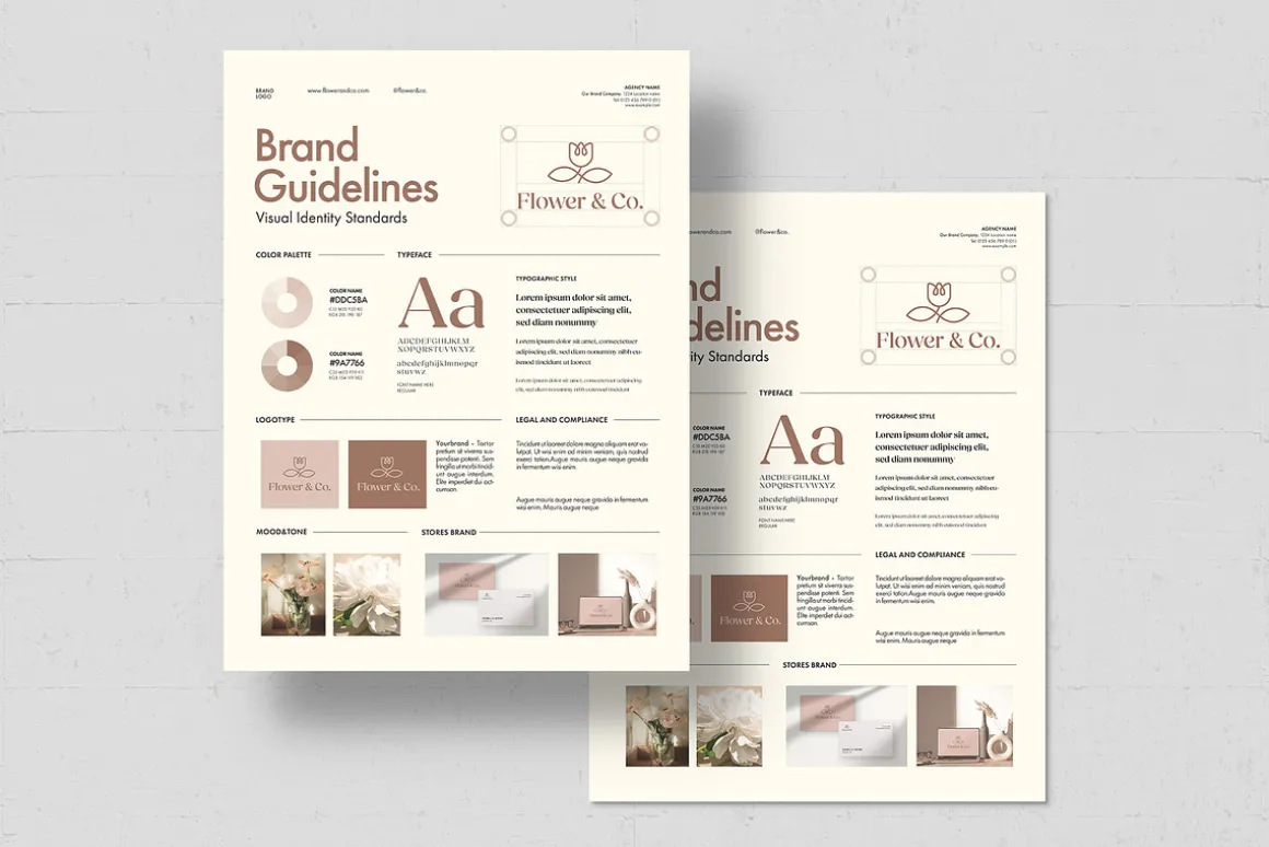 Brand Guidelines Poster Template