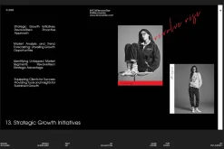 Brand Guidelines RevolveRise