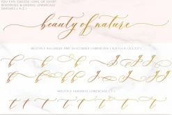Brendisa Script
