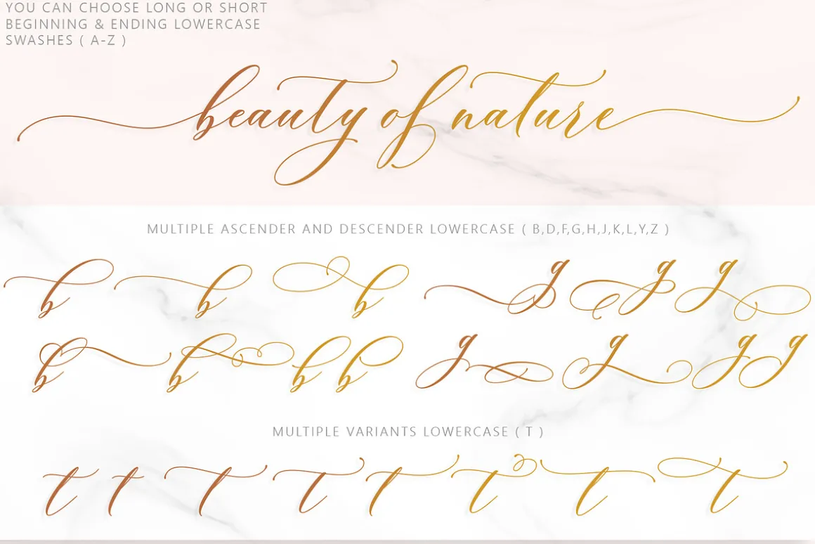 Brendisa Script