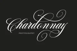 Bridgerton Script