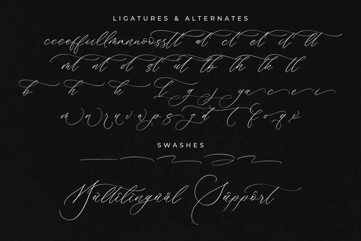 Brightera Himalaye Beautiful Script