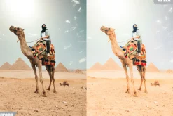 Bright Gold Lightroom Presets