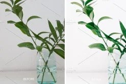 30 BRIGHT LIGHTROOM PRESETS