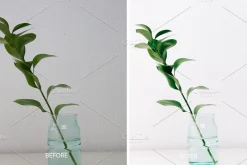 30 BRIGHT LIGHTROOM PRESETS